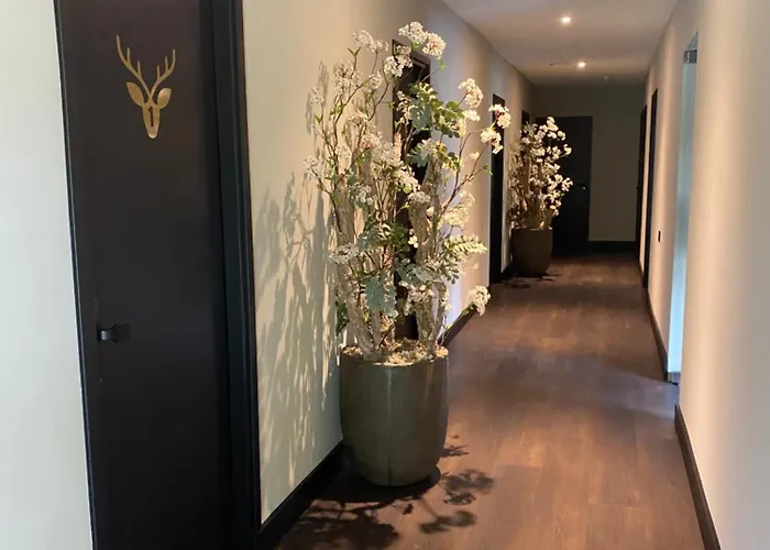 Bed & Breakfast The 3*